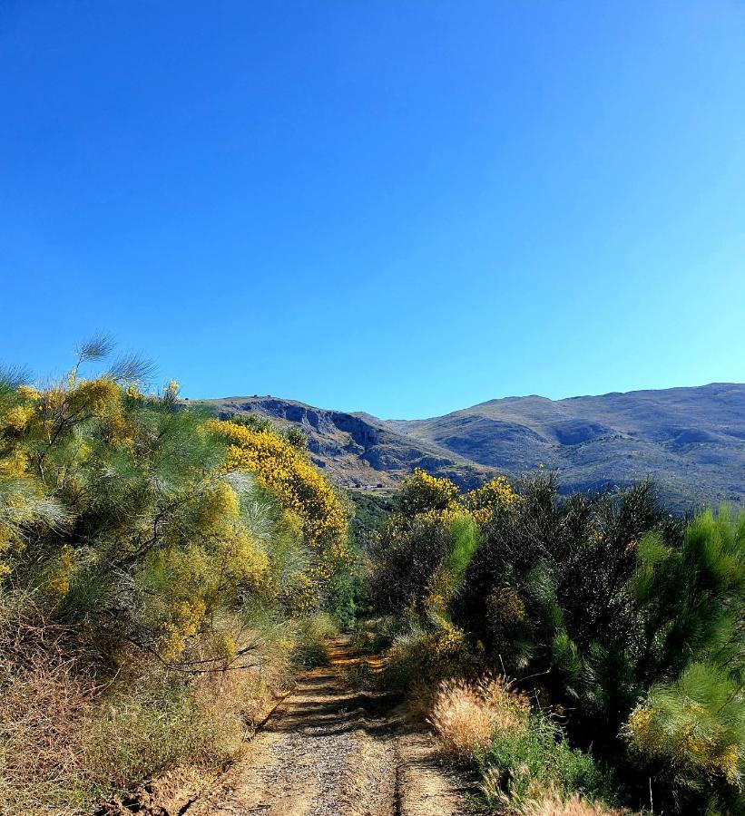 One Life Malaga Retreat Hotel Periana Luaran gambar